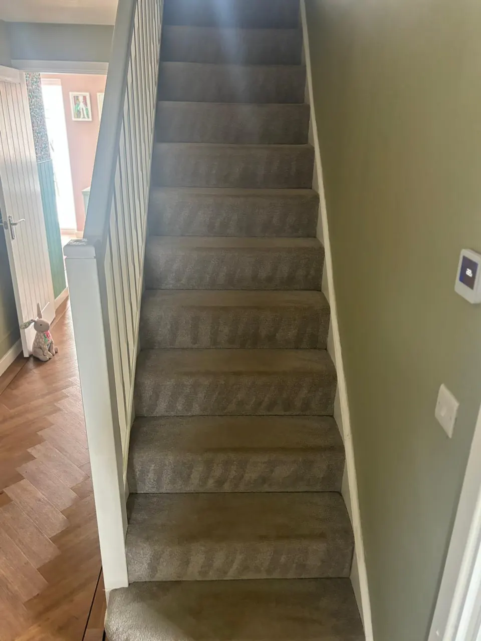 Residential carpeted staircase with visible cleaning lines