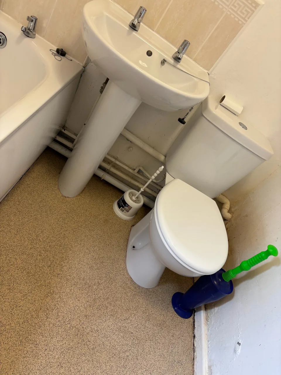 Sensitive incident-context photograph recorded for specialist sanitation assessment