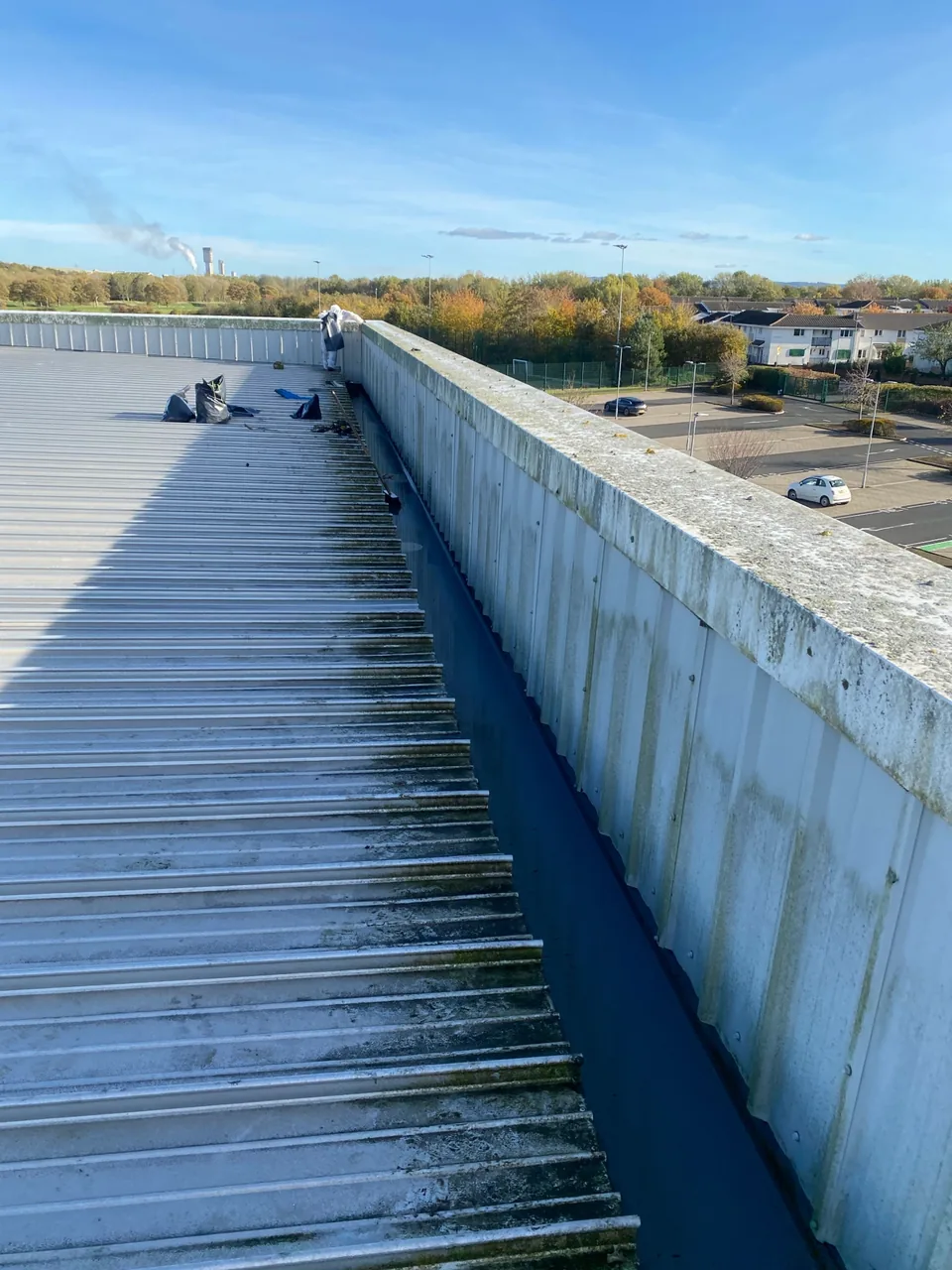 Commercial roof surface before cleaning and vegetation removal