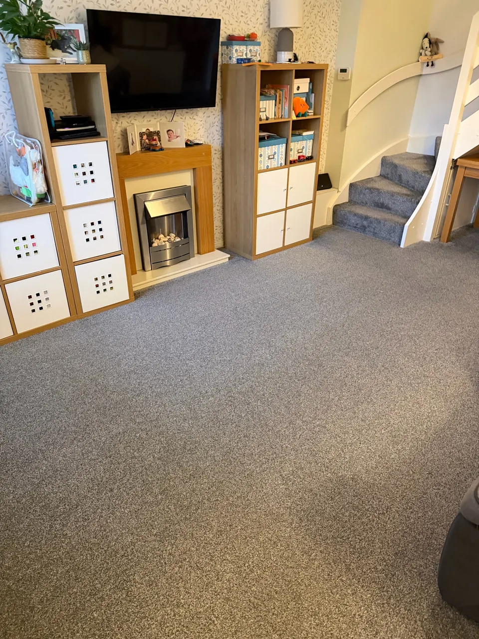 Cleaned living-room carpet with visible grooming lines