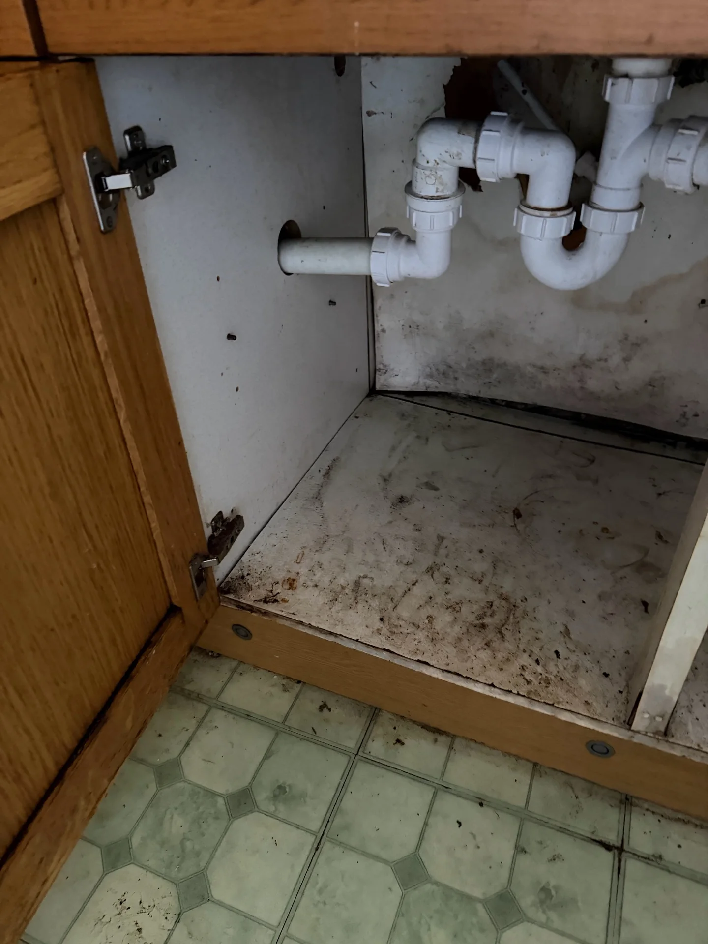 Cabinet condition recorded before specialist pre-refurbishment cleaning