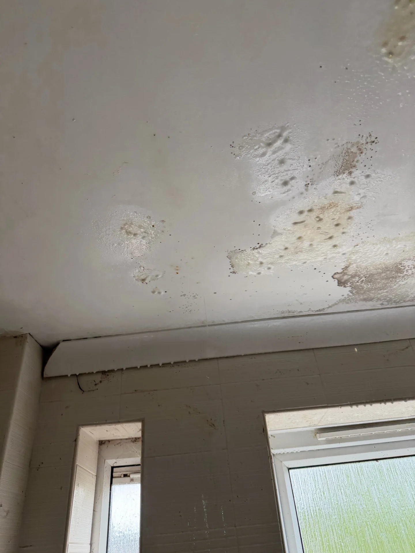 Wall and ceiling condition recorded before specialist pre-refurbishment cleaning