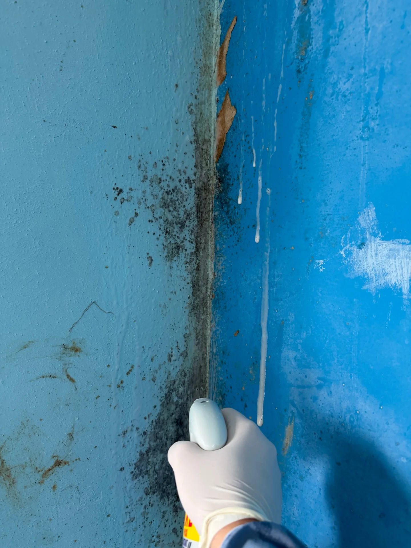 Wall condition detail recorded before specialist pre-refurbishment cleaning