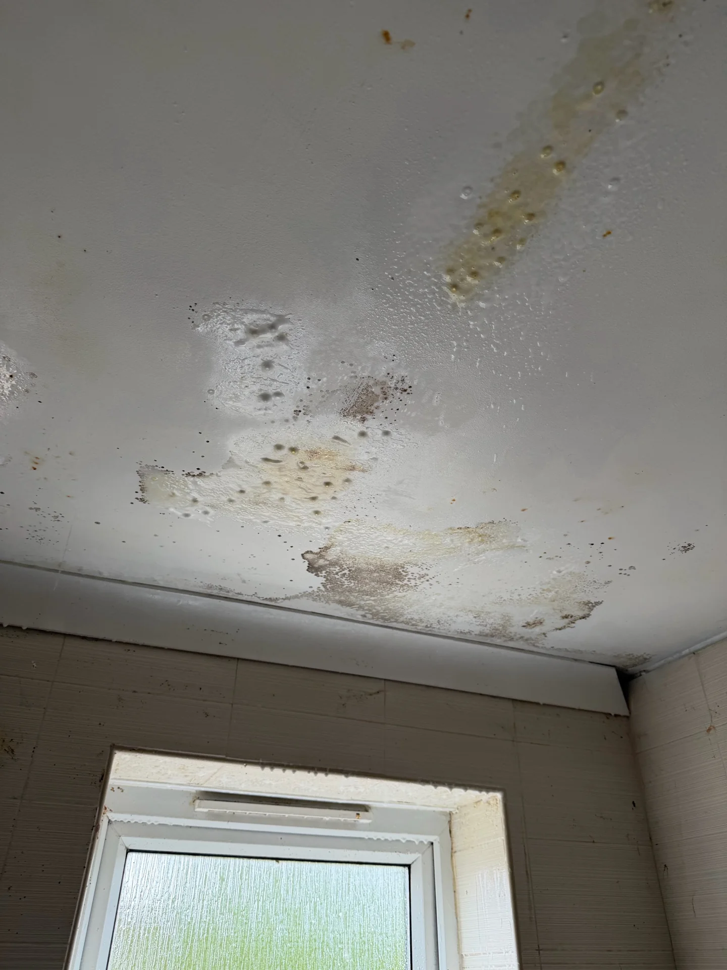 Specialist condition-treatment activity at a landlord pre-refurbishment project