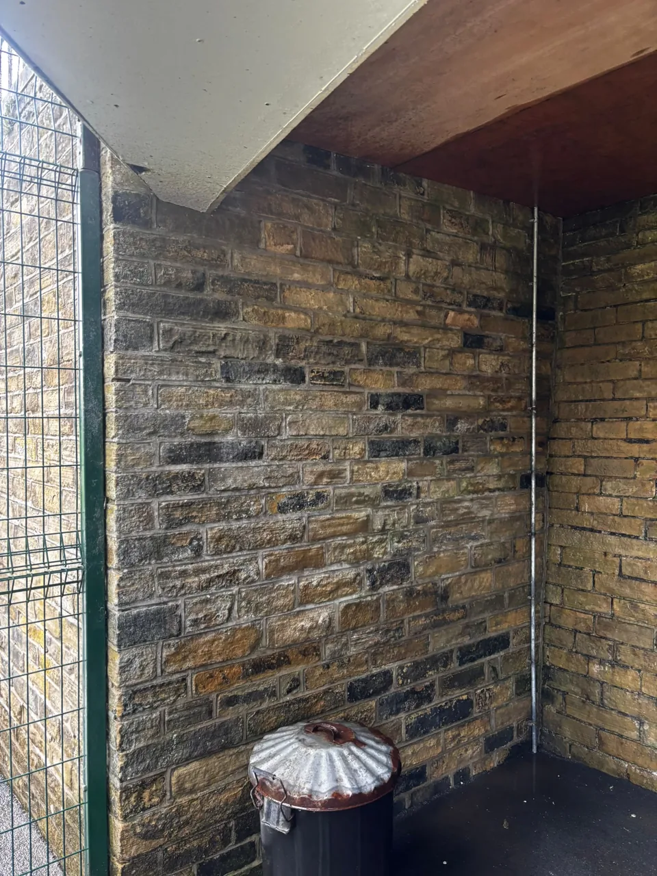 School brickwork after specialist exterior cleaning treatment