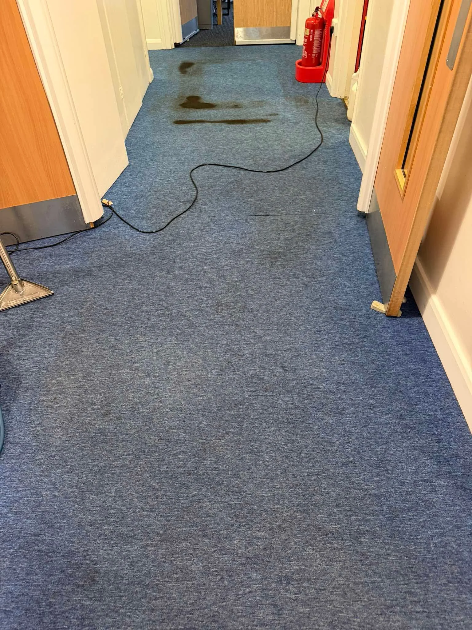 School corridor carpet with visible traffic soiling before carpet cleaning