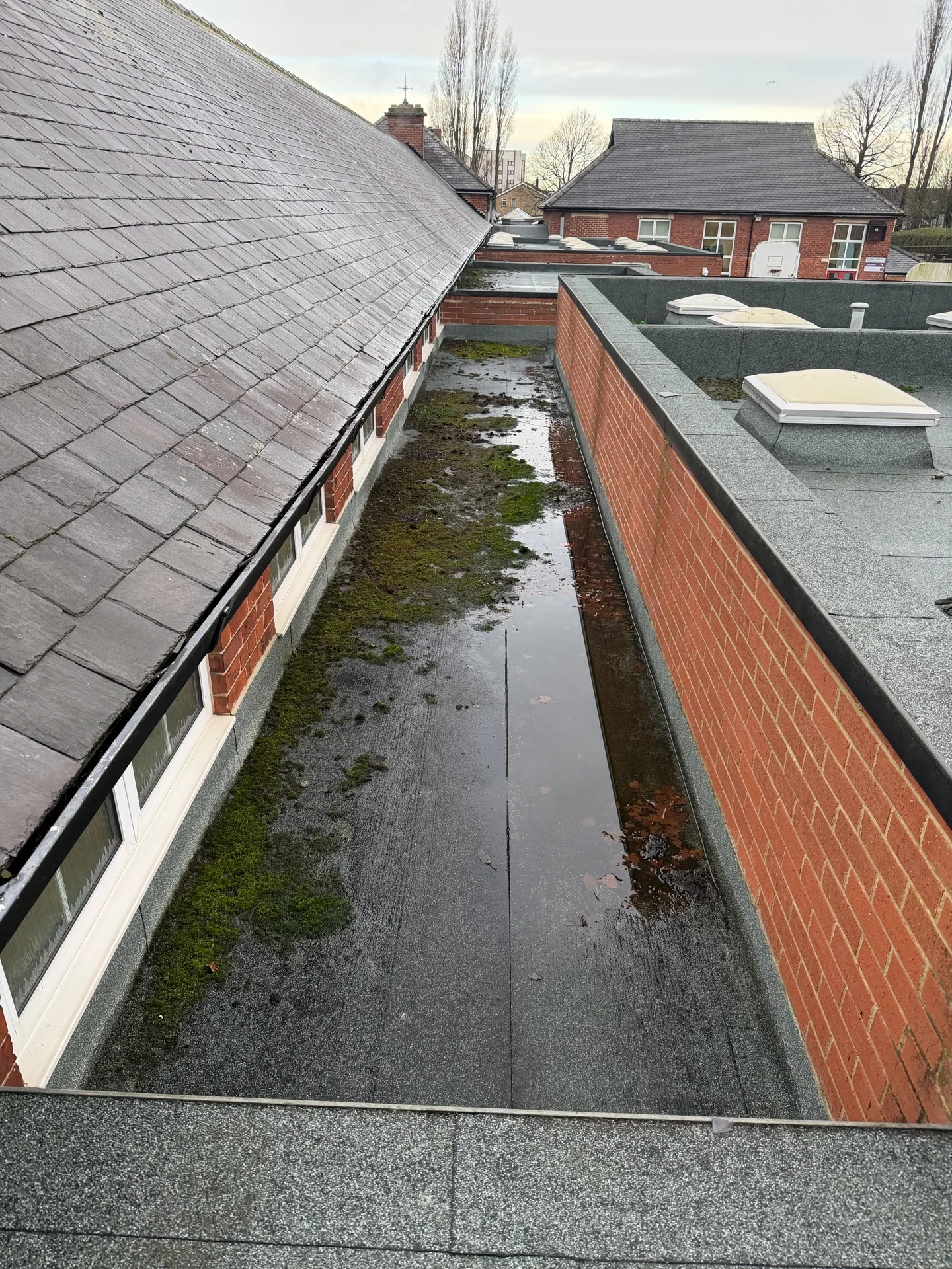 School roof gully line recorded during the cleaning programme