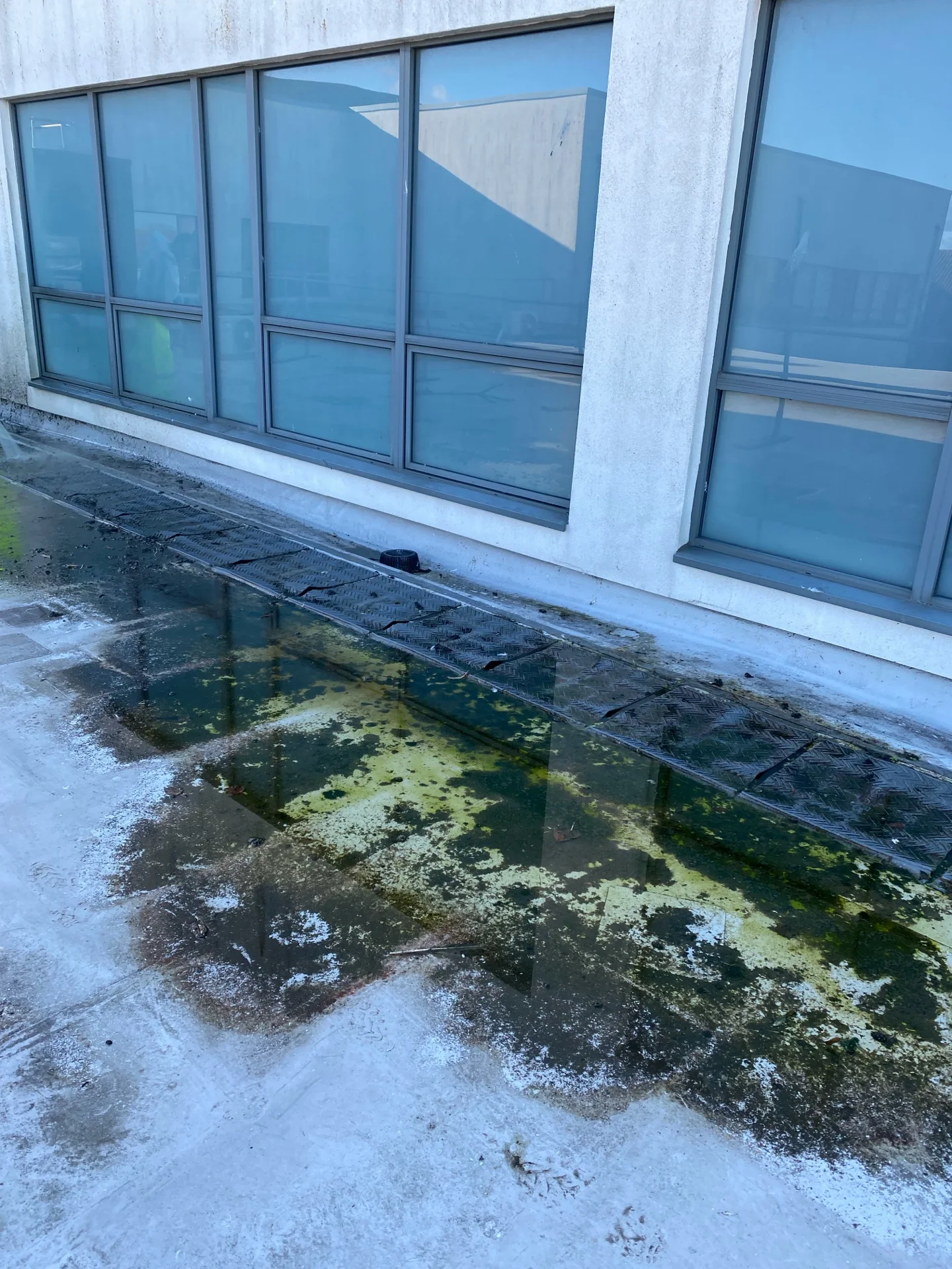 School roof-edge detail recorded during the cleaning programme
