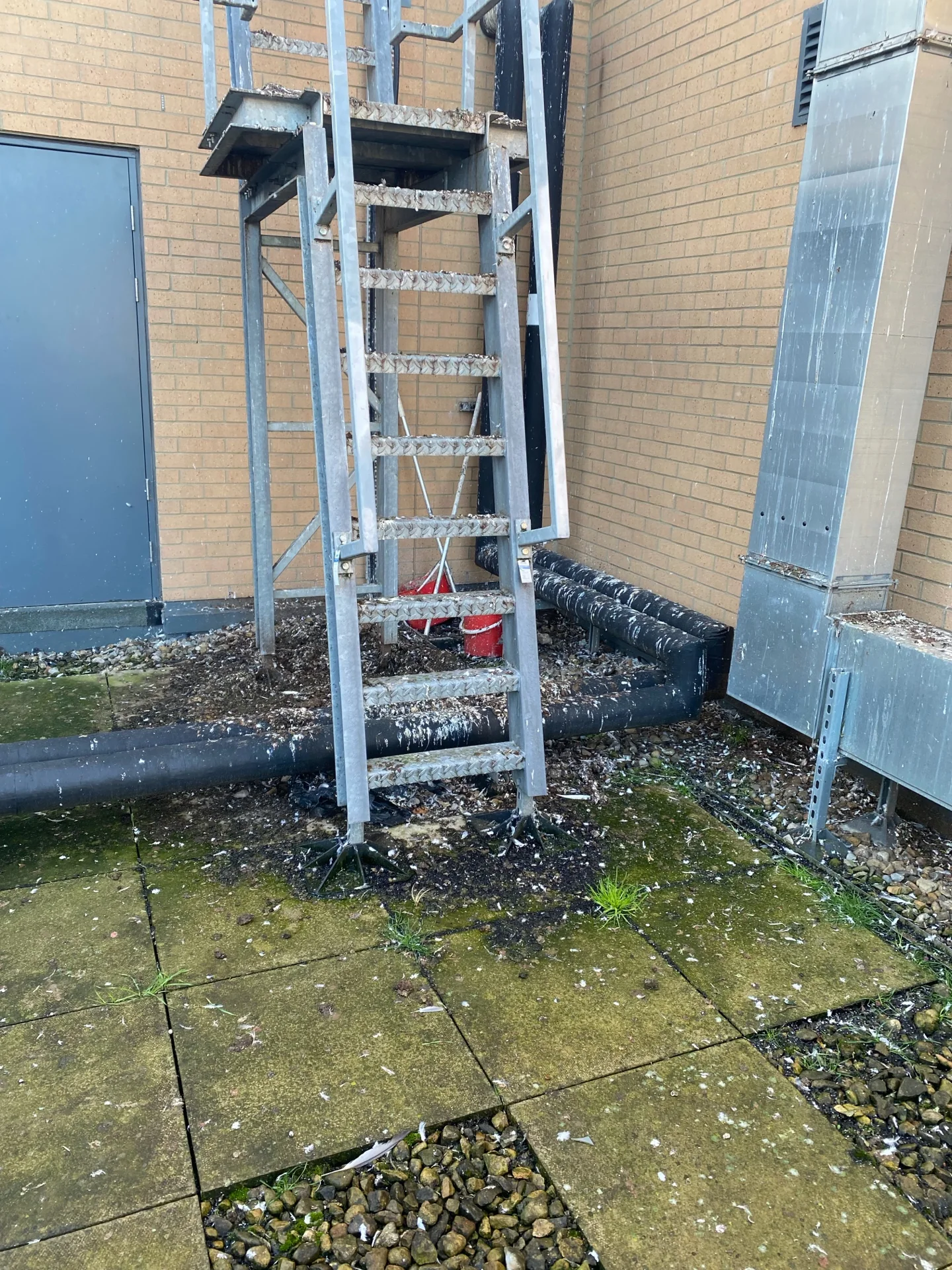 Access and roof-edge area at a school roof-and-gully cleaning project